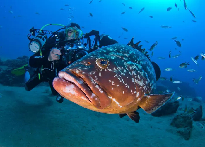 아파트호텔 Costa Volcan &